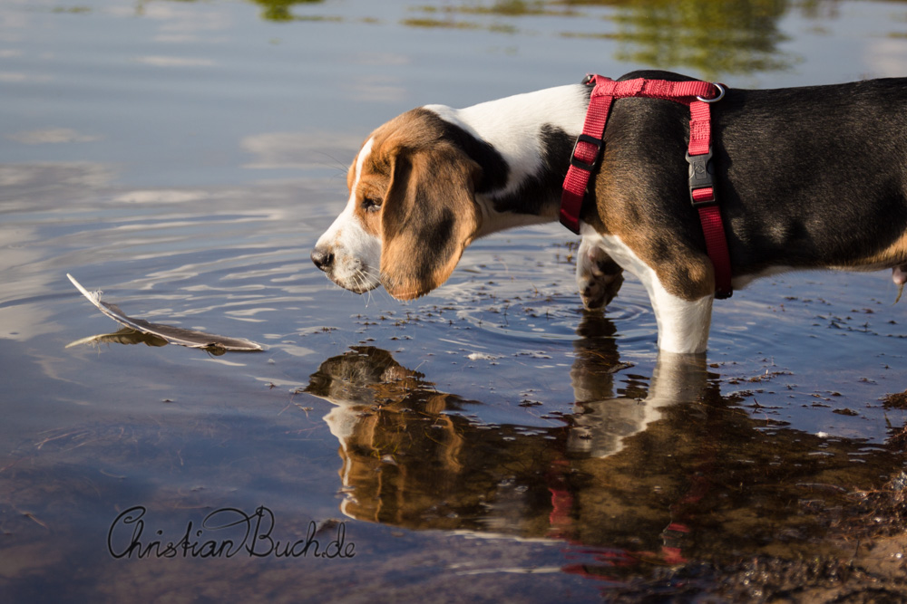 erster Besuch an der Elbe