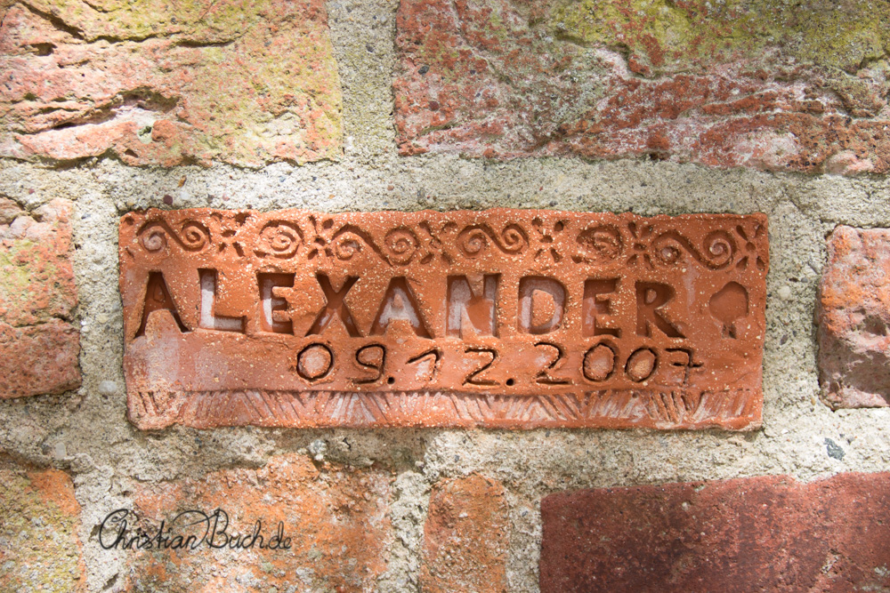 Alexander